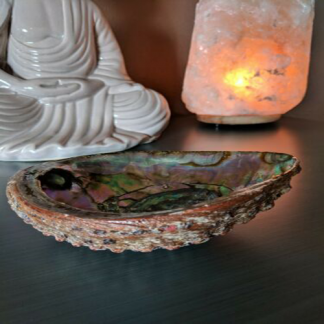 Abalone-Shell-Smudging-Bowl-2